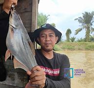 Memancing Ikan Demo Di California