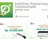 Pinjaman Online Ojk Tanpa Npwp